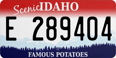 ID license plate E289404