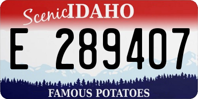 ID license plate E289407
