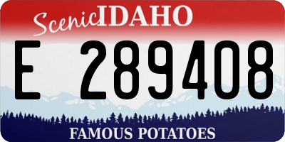 ID license plate E289408