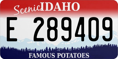 ID license plate E289409