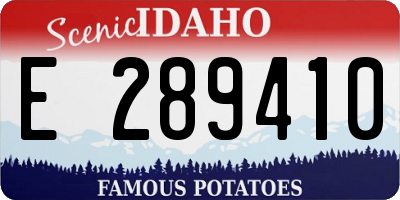 ID license plate E289410