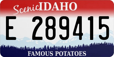 ID license plate E289415