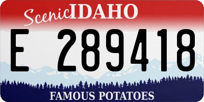 ID license plate E289418