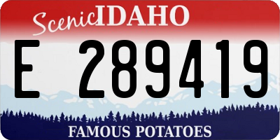 ID license plate E289419