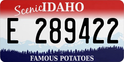 ID license plate E289422