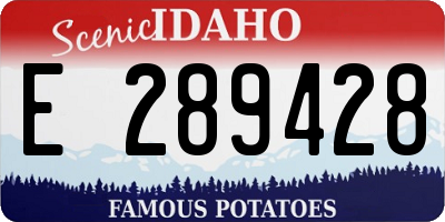 ID license plate E289428