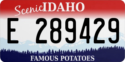 ID license plate E289429