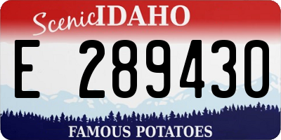 ID license plate E289430