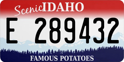 ID license plate E289432