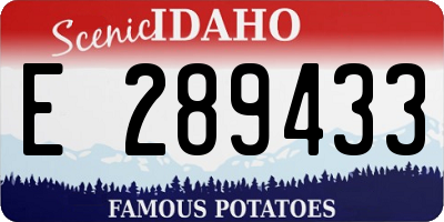 ID license plate E289433