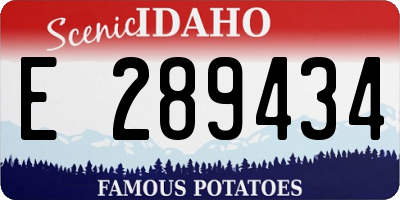 ID license plate E289434