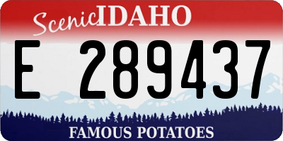 ID license plate E289437