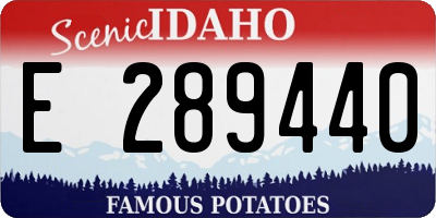 ID license plate E289440