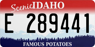 ID license plate E289441