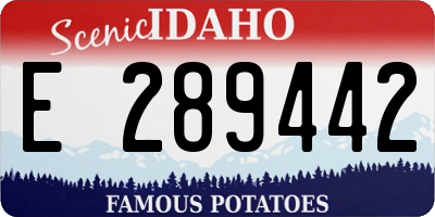 ID license plate E289442