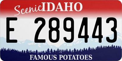 ID license plate E289443