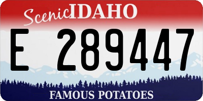 ID license plate E289447