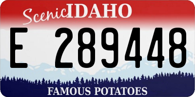 ID license plate E289448