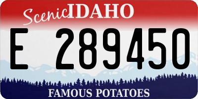 ID license plate E289450