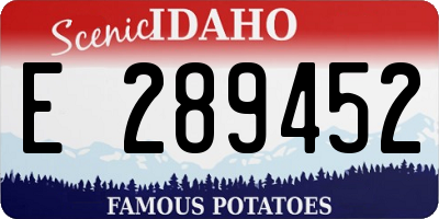ID license plate E289452