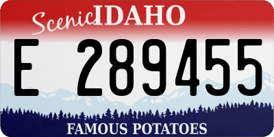 ID license plate E289455
