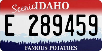 ID license plate E289459