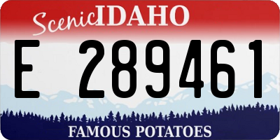 ID license plate E289461