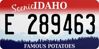 ID license plate E289463