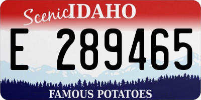 ID license plate E289465