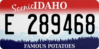 ID license plate E289468