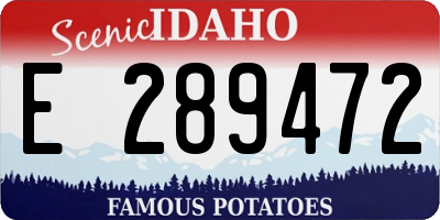 ID license plate E289472