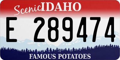 ID license plate E289474