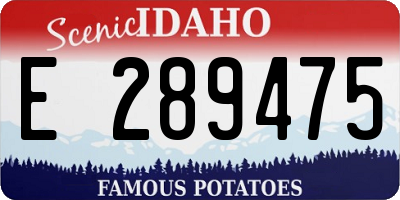 ID license plate E289475