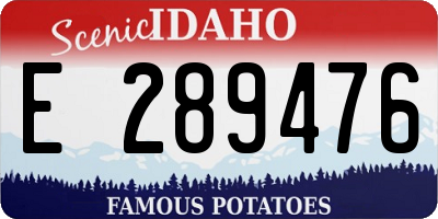 ID license plate E289476