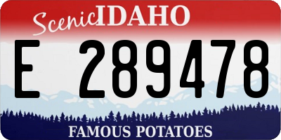 ID license plate E289478