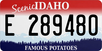 ID license plate E289480