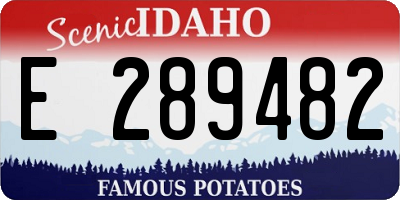 ID license plate E289482