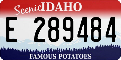 ID license plate E289484