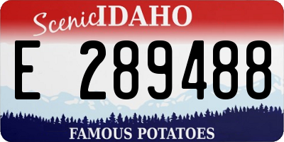 ID license plate E289488
