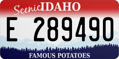 ID license plate E289490