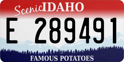 ID license plate E289491