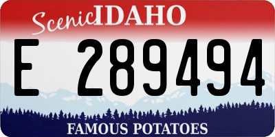 ID license plate E289494