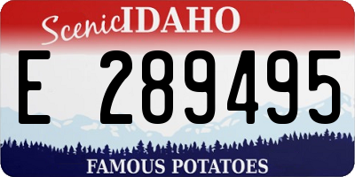 ID license plate E289495