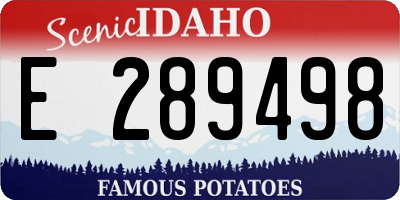 ID license plate E289498
