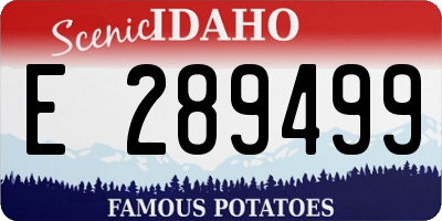ID license plate E289499