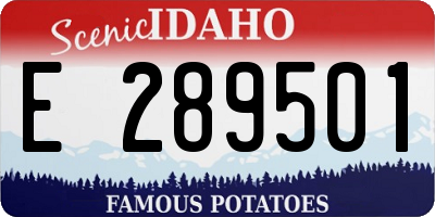 ID license plate E289501