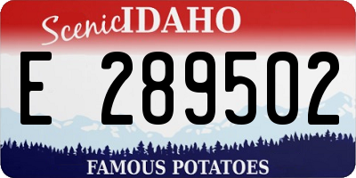 ID license plate E289502