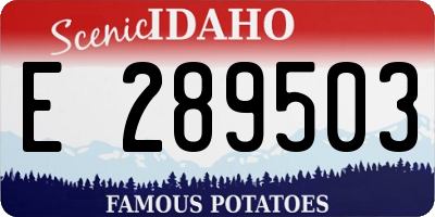 ID license plate E289503