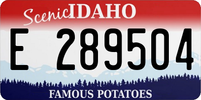 ID license plate E289504
