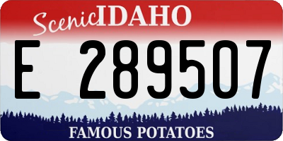 ID license plate E289507